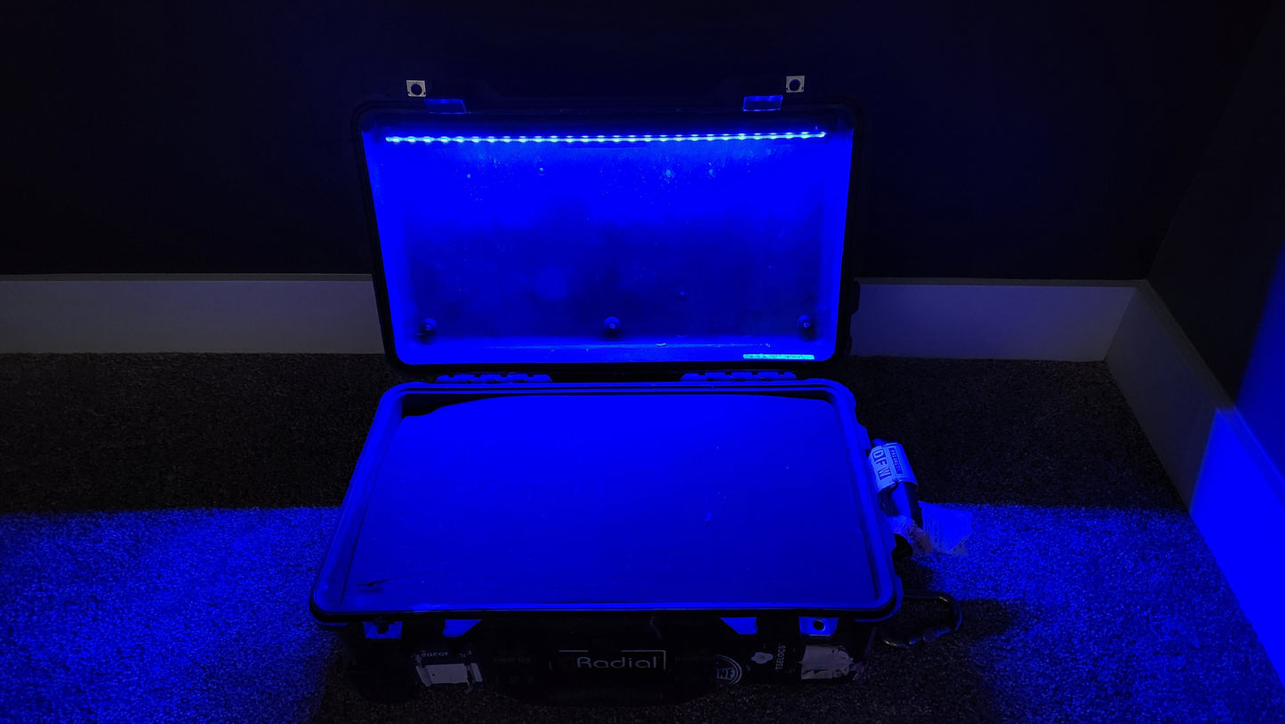 LidLite Limited Edition